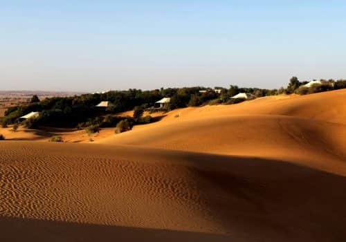 Al Maha (4)