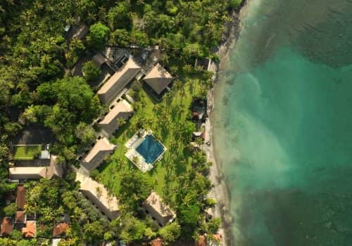 Alila Manggis (1)