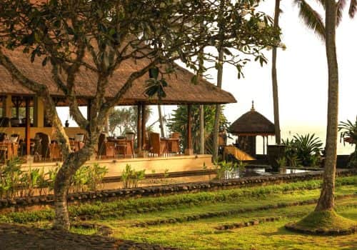 Alila Manggis (11)