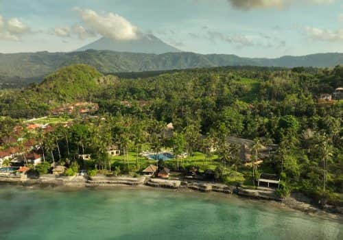 Alila Manggis (2)