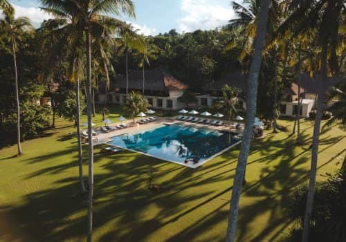 Alila Manggis (7)