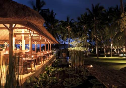 Alila Manggis (9)