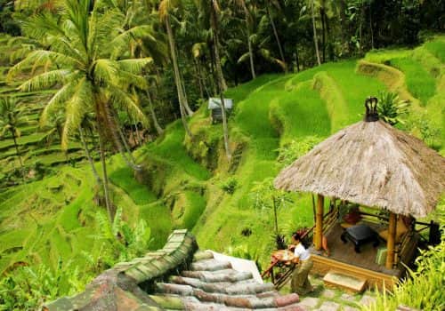 Bali Pacto (11)