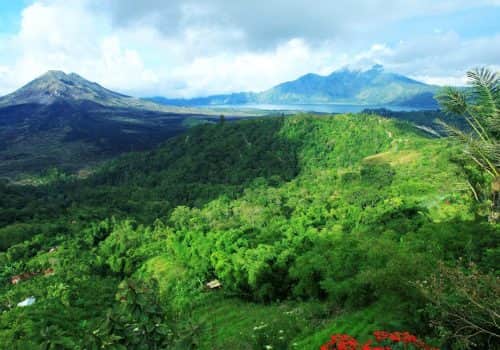 Bali Pacto (3)