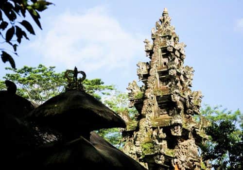 Bali Pacto (9)