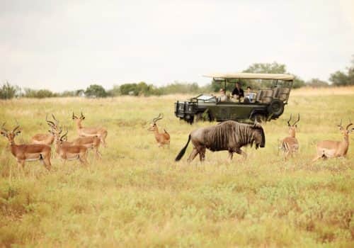 Camp Jabulani (13)