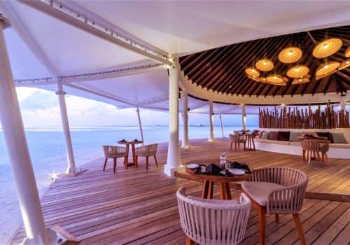 Cinnamon Hakuraa Huraa (1)