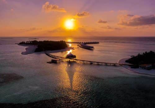 Cinnamon Hakuraa Huraa (10)