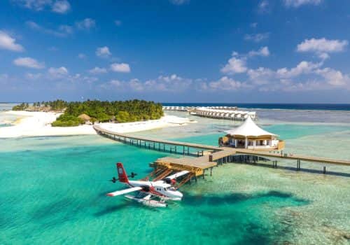 Cinnamon Hakuraa Huraa (2)