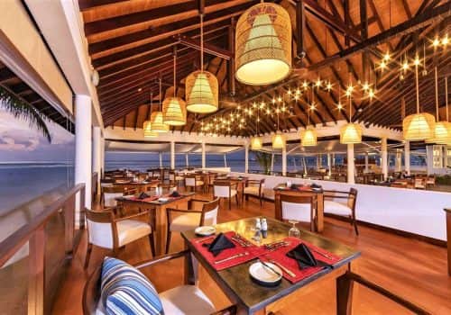Cinnamon Hakuraa Huraa (3)