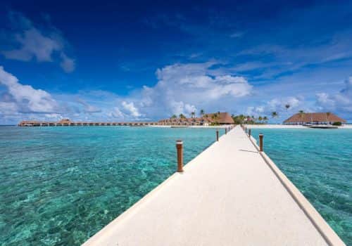 Cinnamon Velifushi (1)