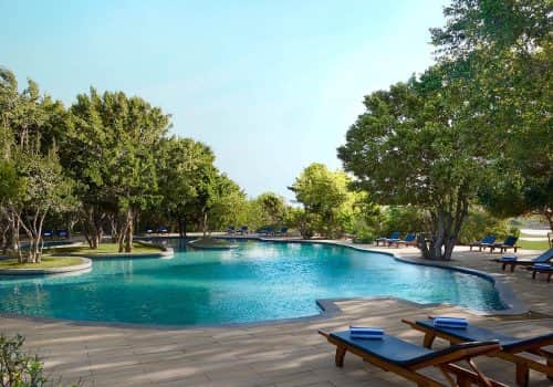 Cinnamon Wild Yala (1)
