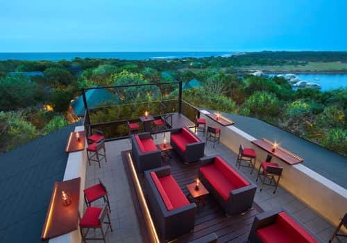 Cinnamon Wild Yala (3)