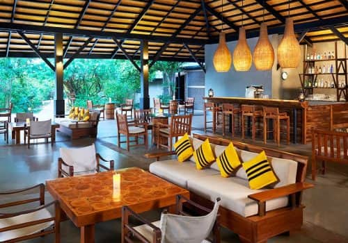 Cinnamon Wild Yala (4)