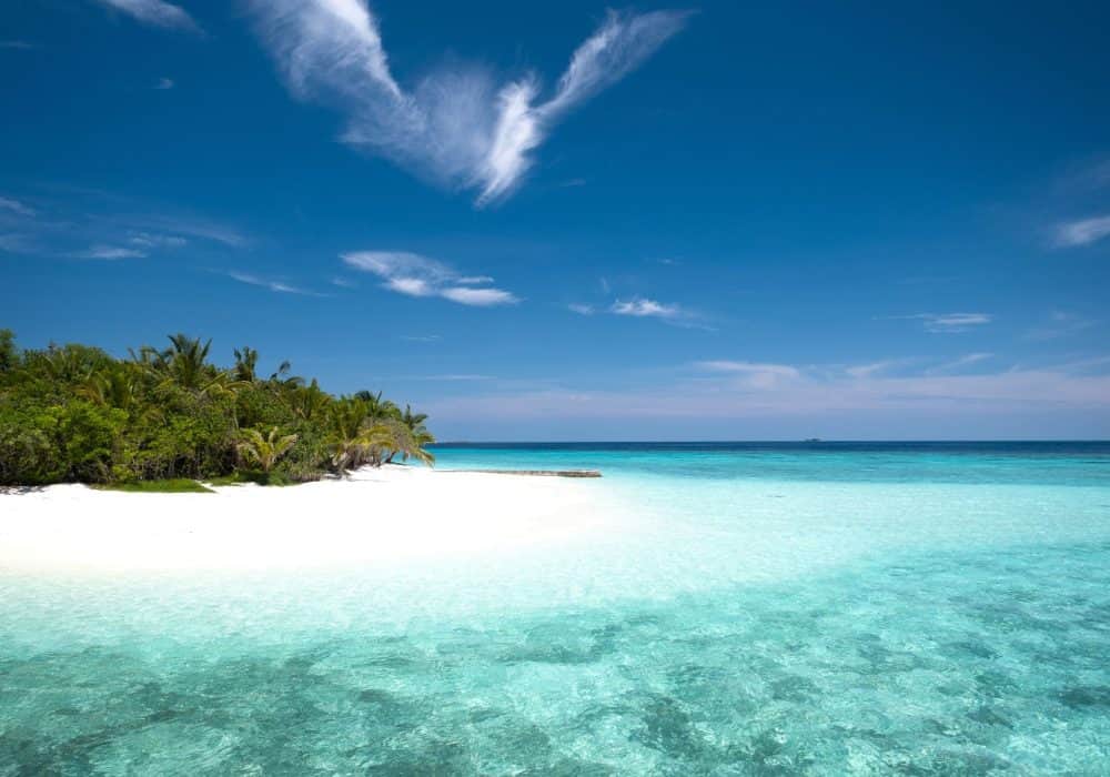 Coco Bodu Hithi (9)