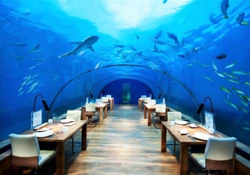 Conrad Maldives Rangali Island (11)