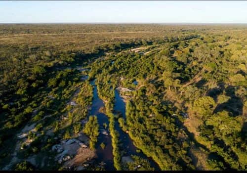 Drone-Singita-Sabi-Sand-Ross-Couper-2