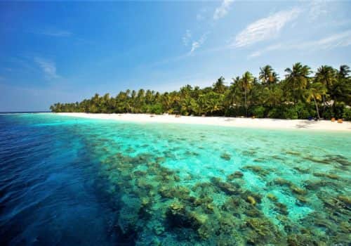 Filitheyo Island Resort (18)