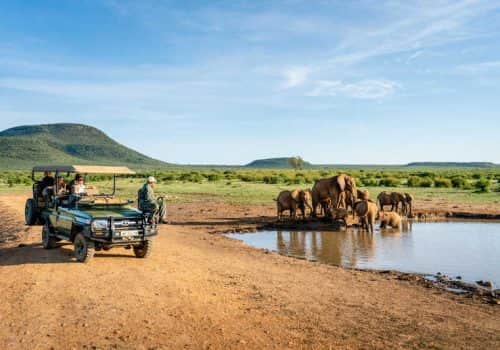 Game-Drive-