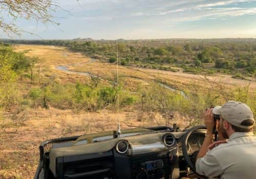 Game-drives-1_2021-09-01-122230