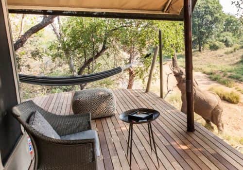 Garonga Safari Camp (13)