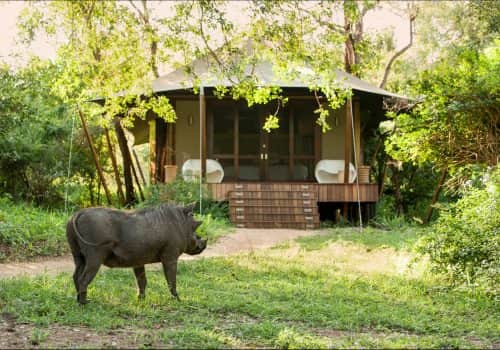 Guest-tent-at-andBeyond-Ngala-Tented-Camp-_2_