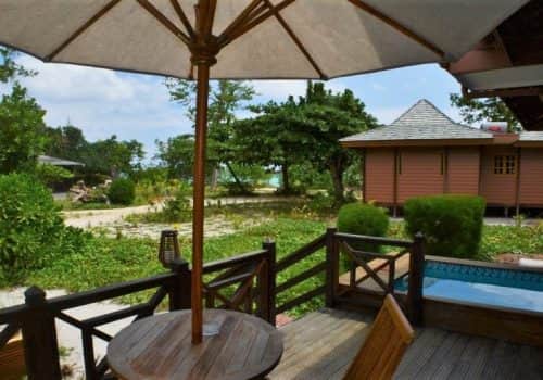 Heliconia Grove (5)