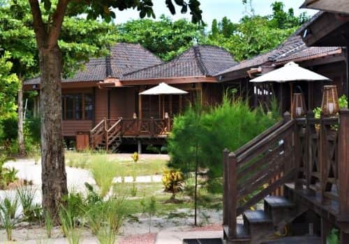 Heliconia Grove (8)