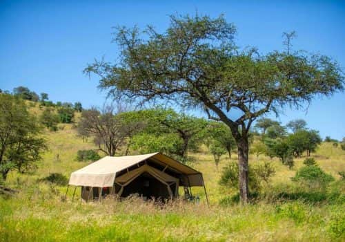 Serengeti Kati Kati Tented Camp (1)