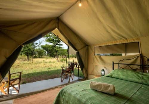 Serengeti Kati Kati Tented Camp (5)
