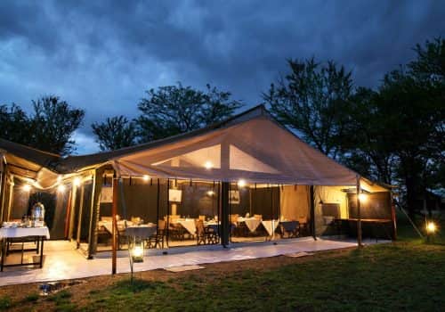Serengeti Kati Kati Tented Camp (7)