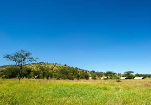 Serengeti Kati Kati Tented Camp (9)