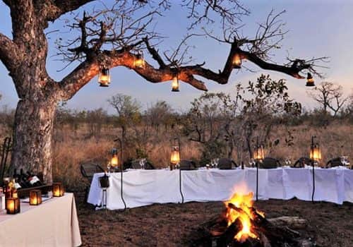 Krüger Nationalpark - Idube Game Reserve - Südafrika Safari Lodge (4)
