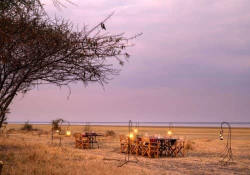 Lake Burunge Baobab Tented Lodge (13)