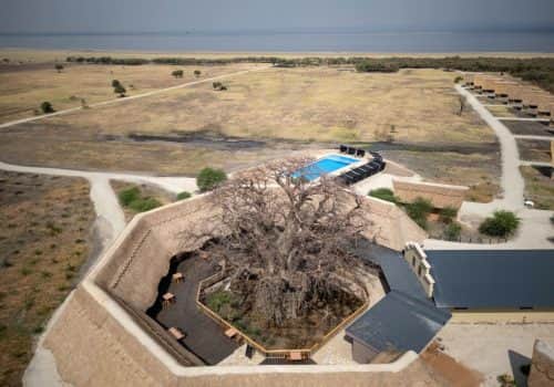 Lake Burunge Baobab Tented Lodge (17)