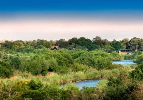 Lion Sands _River Lodge_1_Lodge Views-1_preview (1)