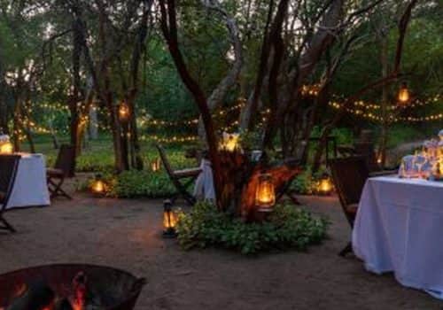 Little Bush Camp Overview