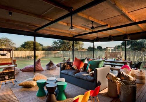 Mack Madi Kids s Adventure Safari Club