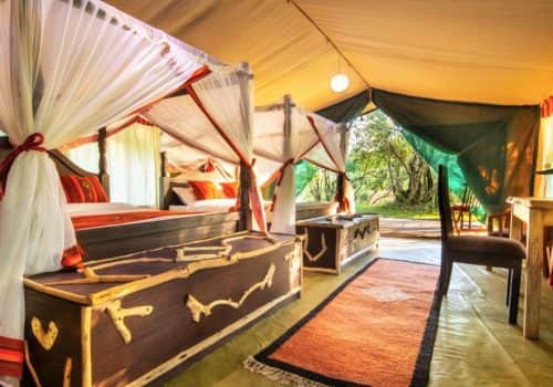 Mara Legends Camp (5)