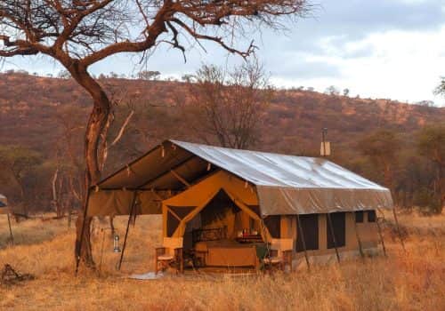 Ndutu Kati Kati Tented Camp (1)