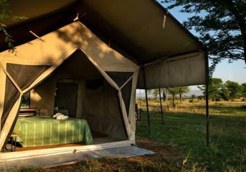 Ndutu Kati Kati Tented Camp (4)