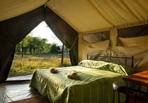Ndutu Kati Kati Tented Camp (5)