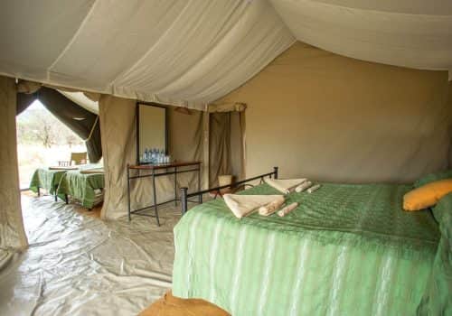 Ndutu Kati Kati Tented Camp (6)
