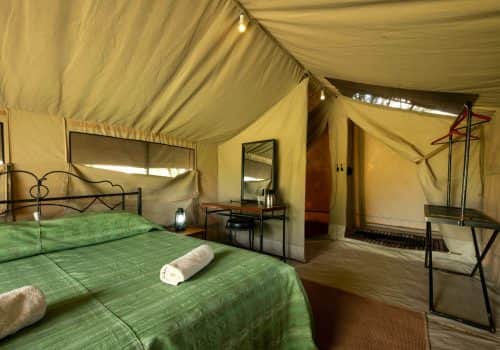 Ndutu Kati Kati Tented Camp (8)