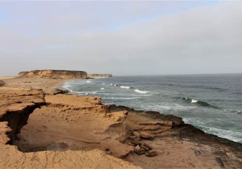 Ras Al Jinz Turtle Reserve (2)
