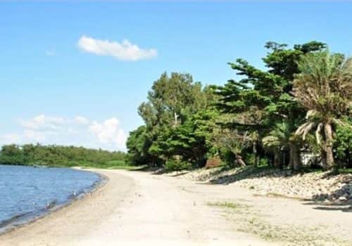 Speke Bay Lodge (2)