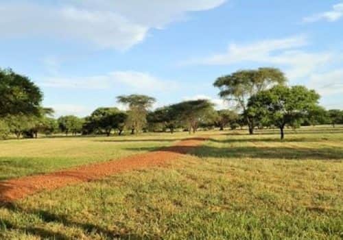 Speke Bay Lodge (5)