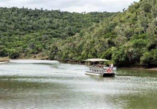 Südafrika Ferien - Kariega Game Reserve - Malariafreies Wildreservat (7)