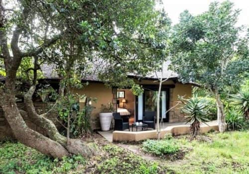 Südafrika Ferien - Kariega Game Reserve - Malariafreies Wildreservat - River Lodge (2)
