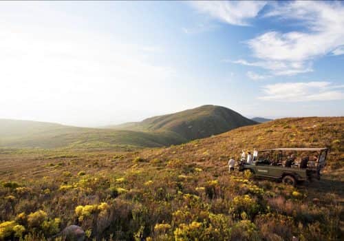 Südafrika Luxusferien - Grootbos Private Nature Reserve - Südafrika Garden Route (7)